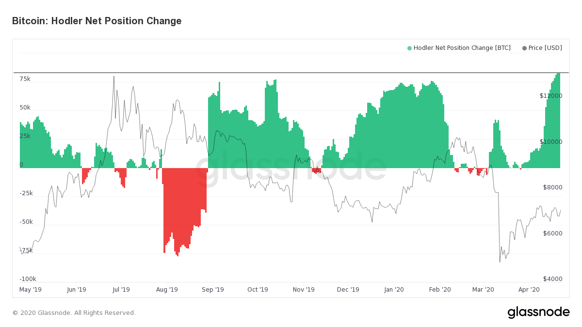 Buying the Dip: Investors Accumulate and Hodl Before ...