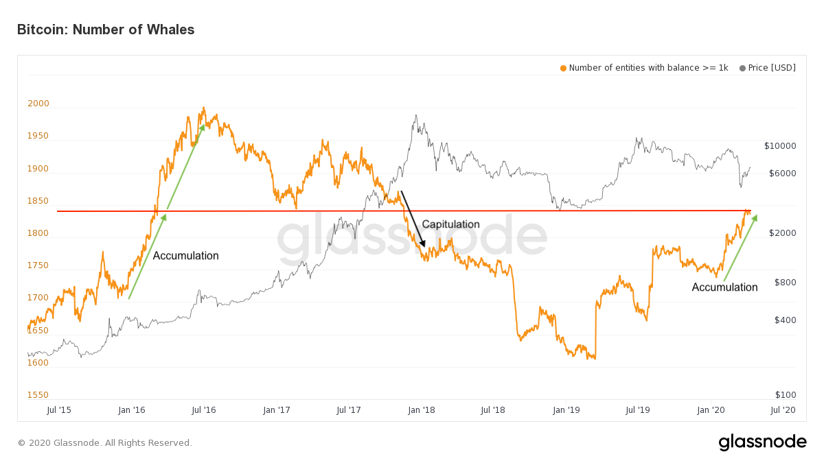 Ballenas de Bitcoin. Imagen de Insights Glassnode