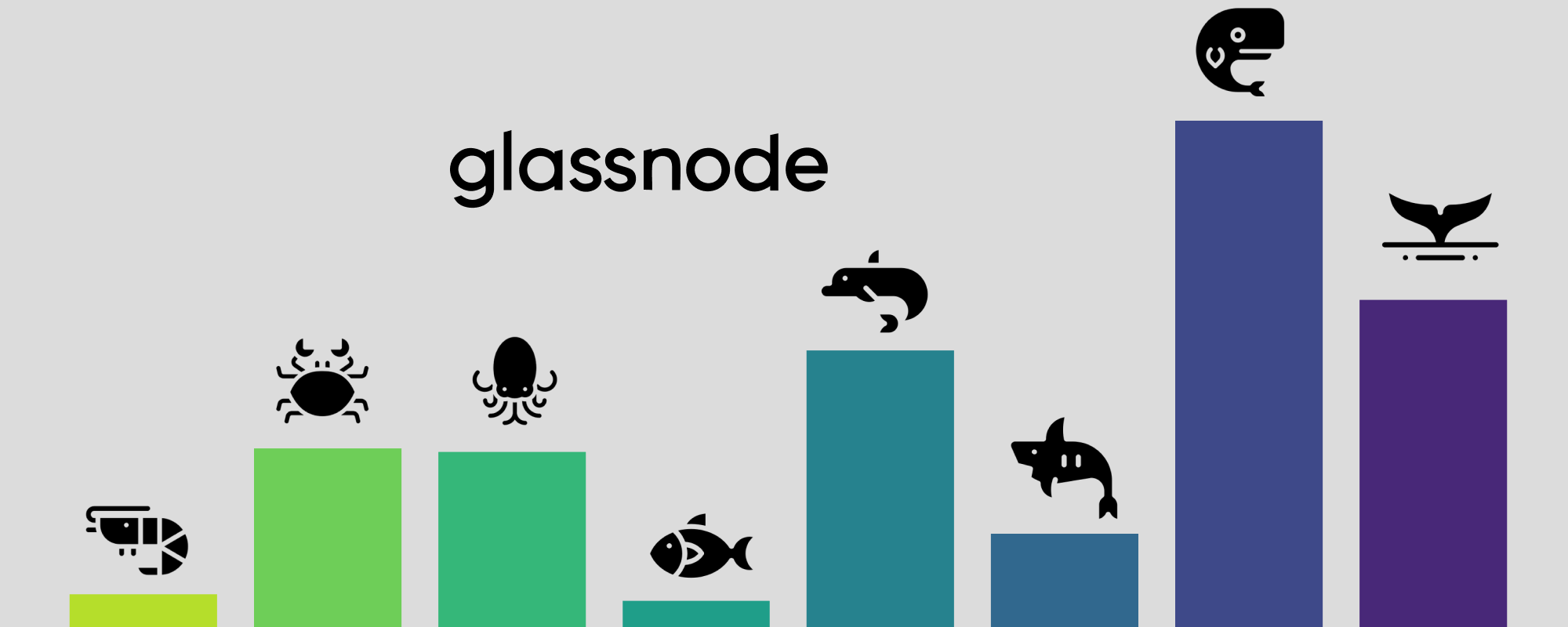 insights.glassnode.com