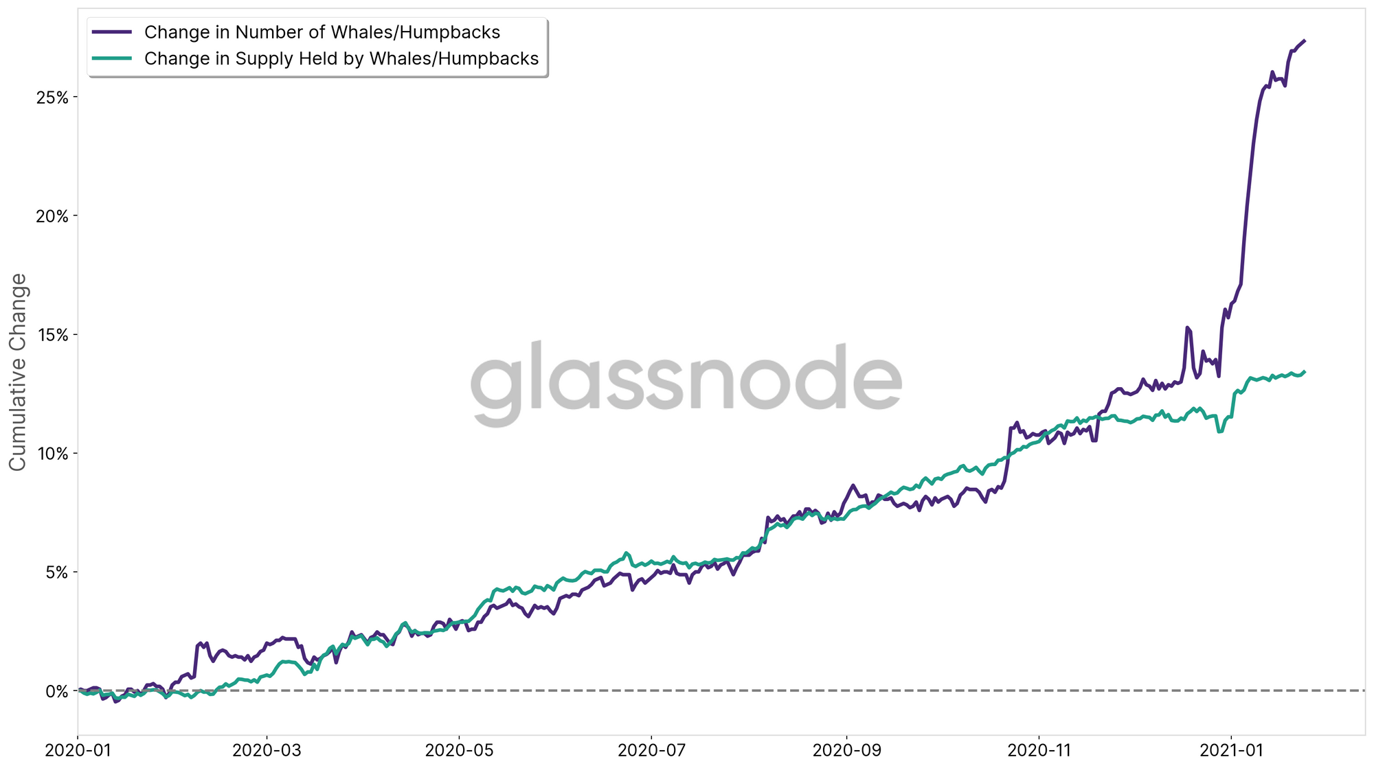 No Bitcoin Ownership Is Not Highly Concentrated But Whales Are Accumulating