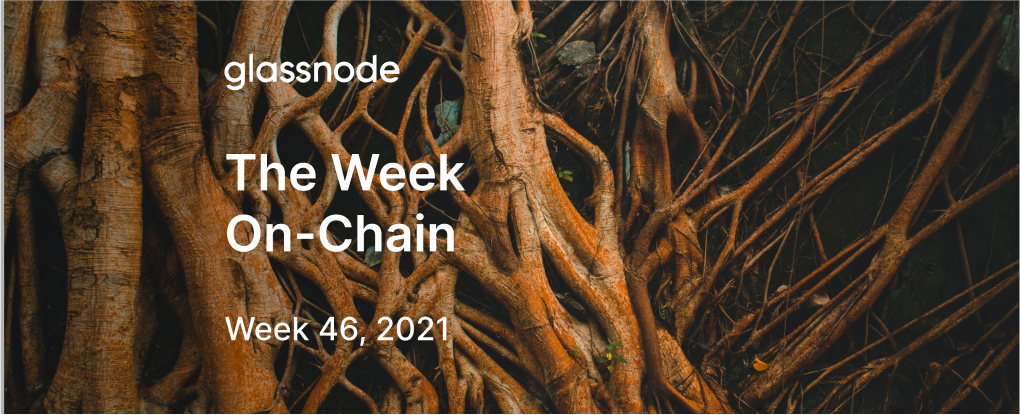 The Week Onchain (Week 46, 2021)