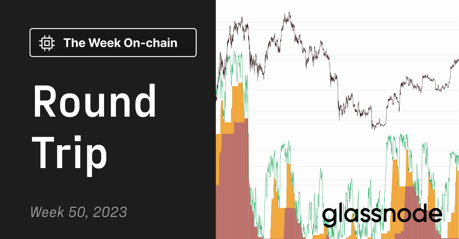 Round 12 Weekly Update