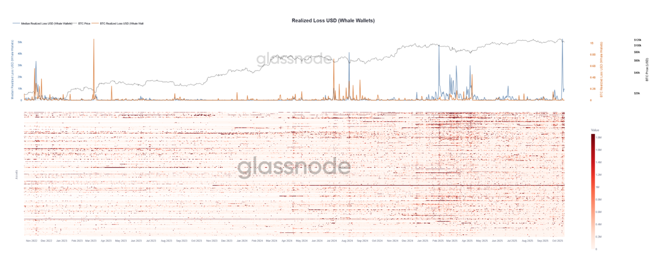 A Global View on Crypto Market Dynamics