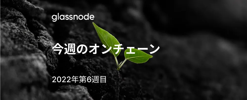 ビットコインは底を打ったのか?