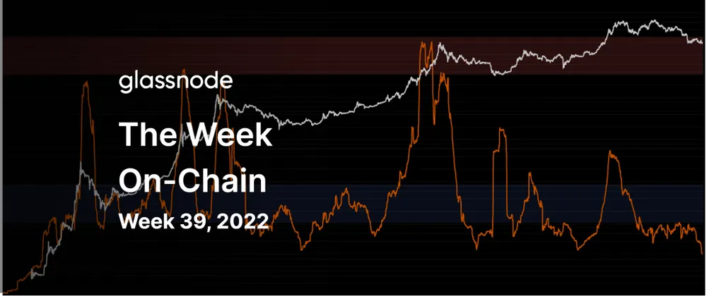Product Update: August 2022