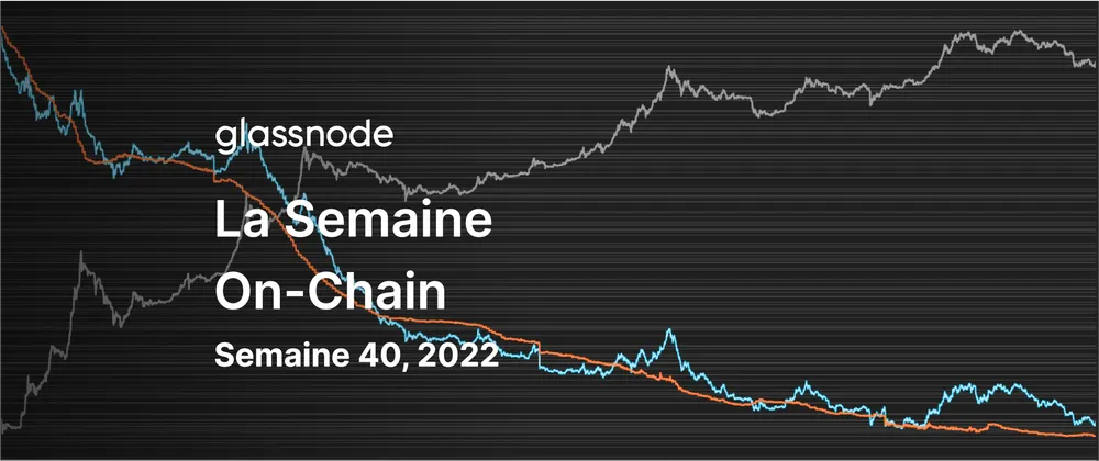 Le Hashrate Atteint de Nouveaux Sommets
