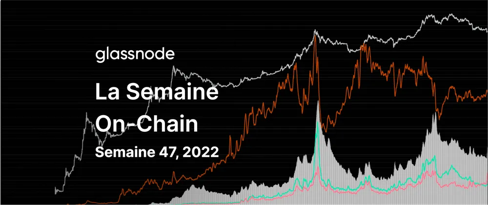 Incertitude parmi les Baleines et les HODLers