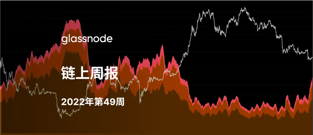 资本重置