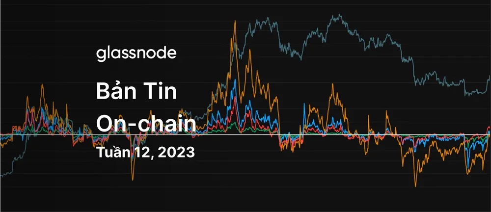 Bitcoin Tăng Tốc