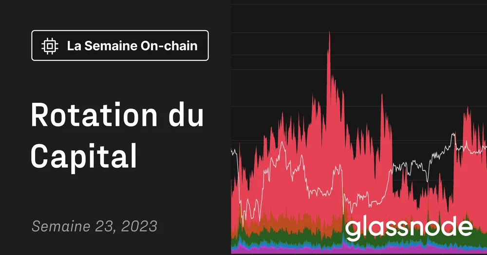 Rotation du Capital