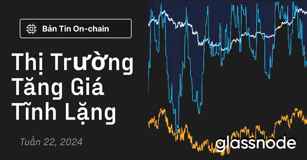 Thị Trường Tăng Giá Tĩnh Lặng