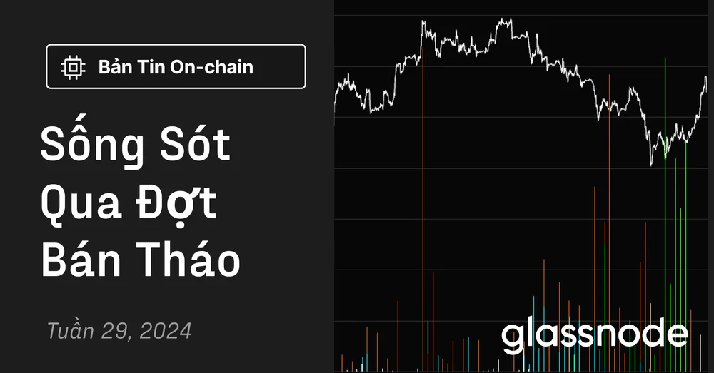 Sống Sót Qua Đợt Bán Tháo