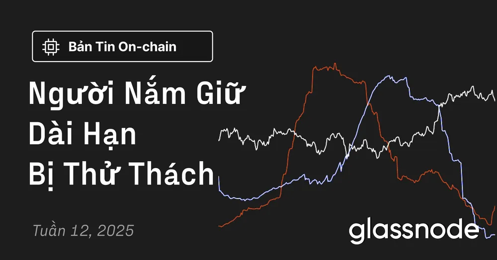 Người Nắm Giữ Dài Hạn Bị Thử Thách