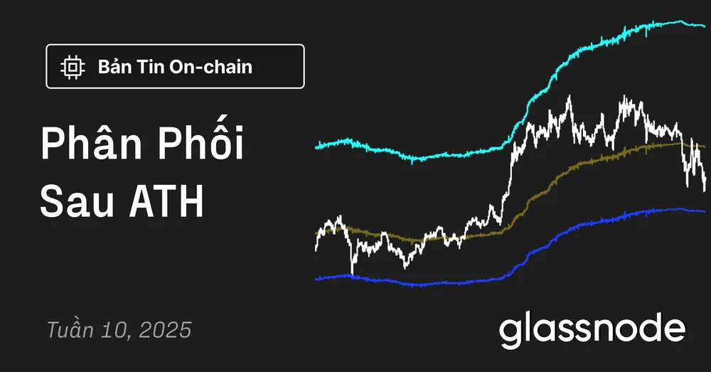 Phân Phối Sau ATH