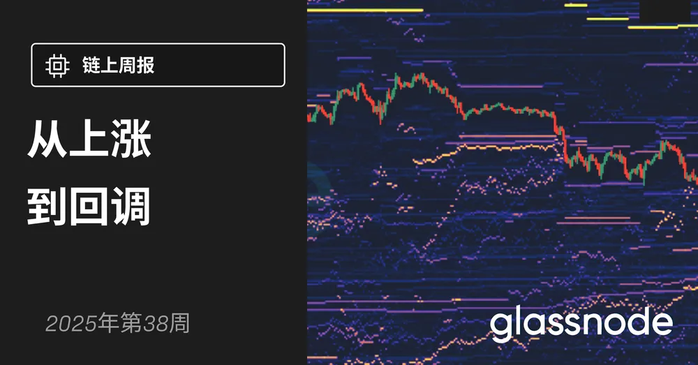 从上涨到回调