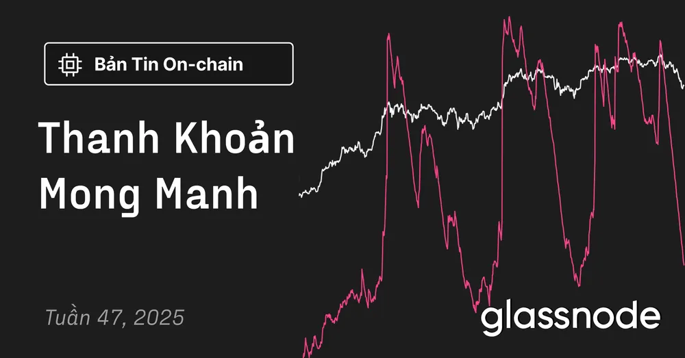 Thanh Khoản Mong Manh