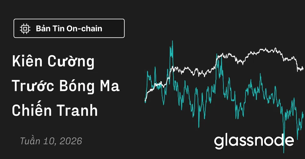 Kiên Cường Trước Bóng Ma Chiến Tranh