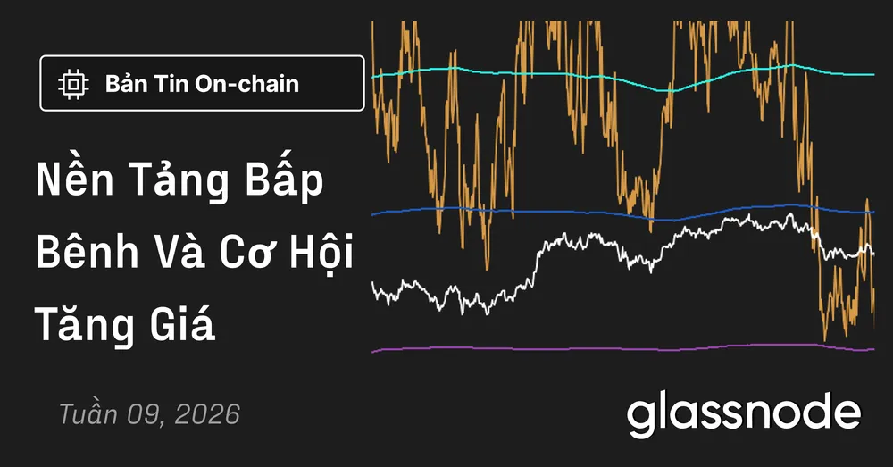 Nền Tảng Bấp Bênh Và Cơ Hội Tăng Giá