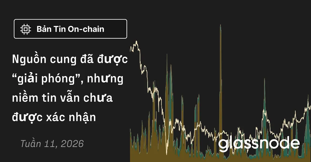 Nguồn cung đã được “giải phóng”, nhưng niềm tin vẫn chưa được xác nhận