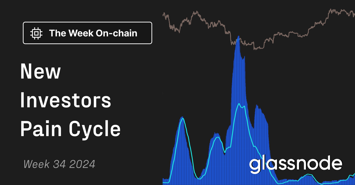 New Investors Pain Cycle