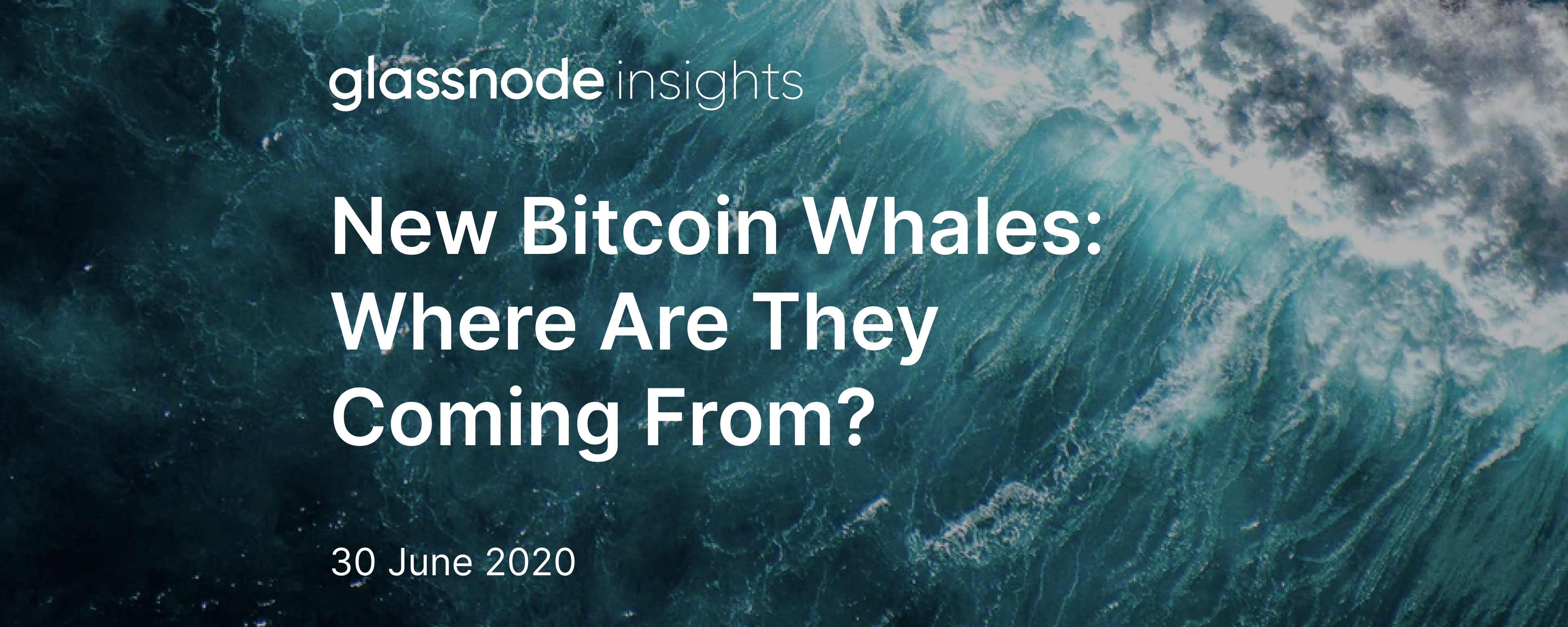 New Bitcoin Whales: Where Are They Coming From?