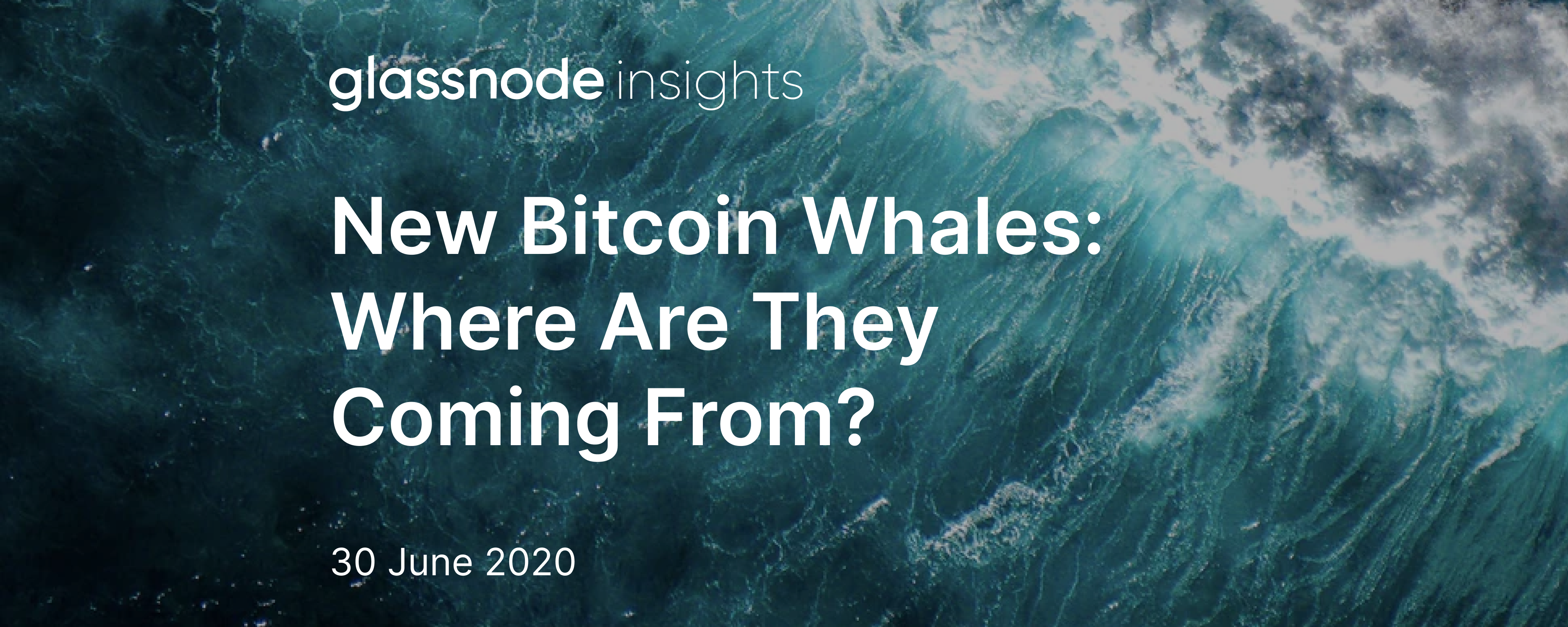 bitcoin 2022 whale pass