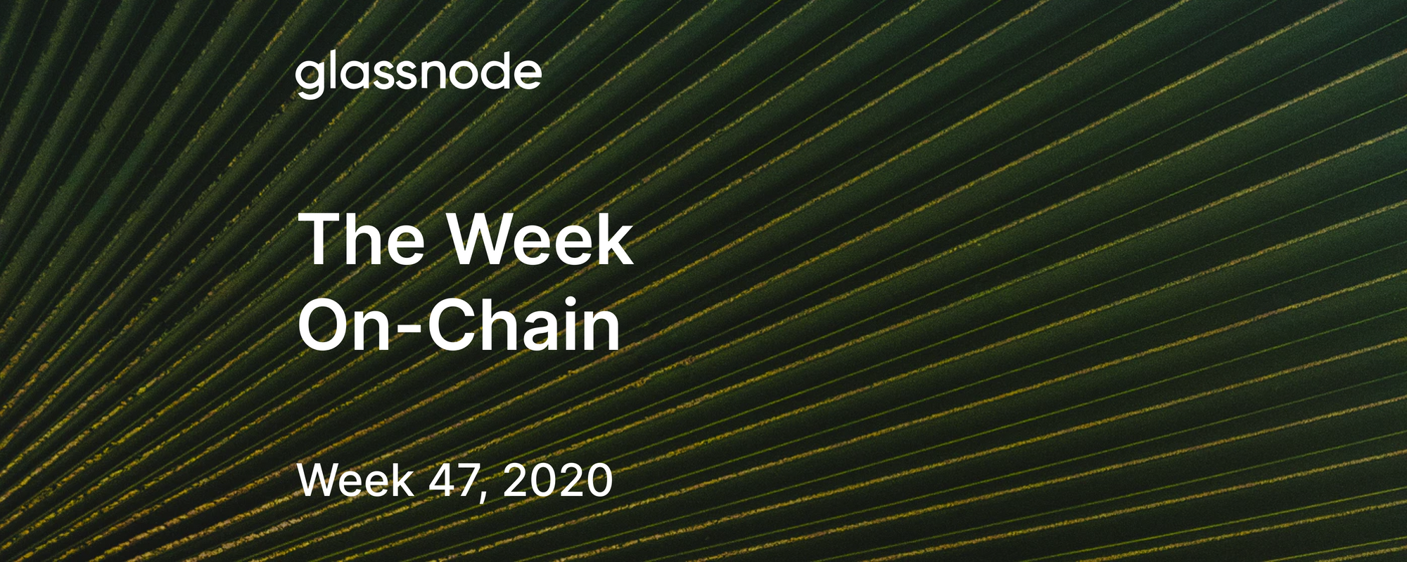 The Week On-Chain (Week 47, 2020)