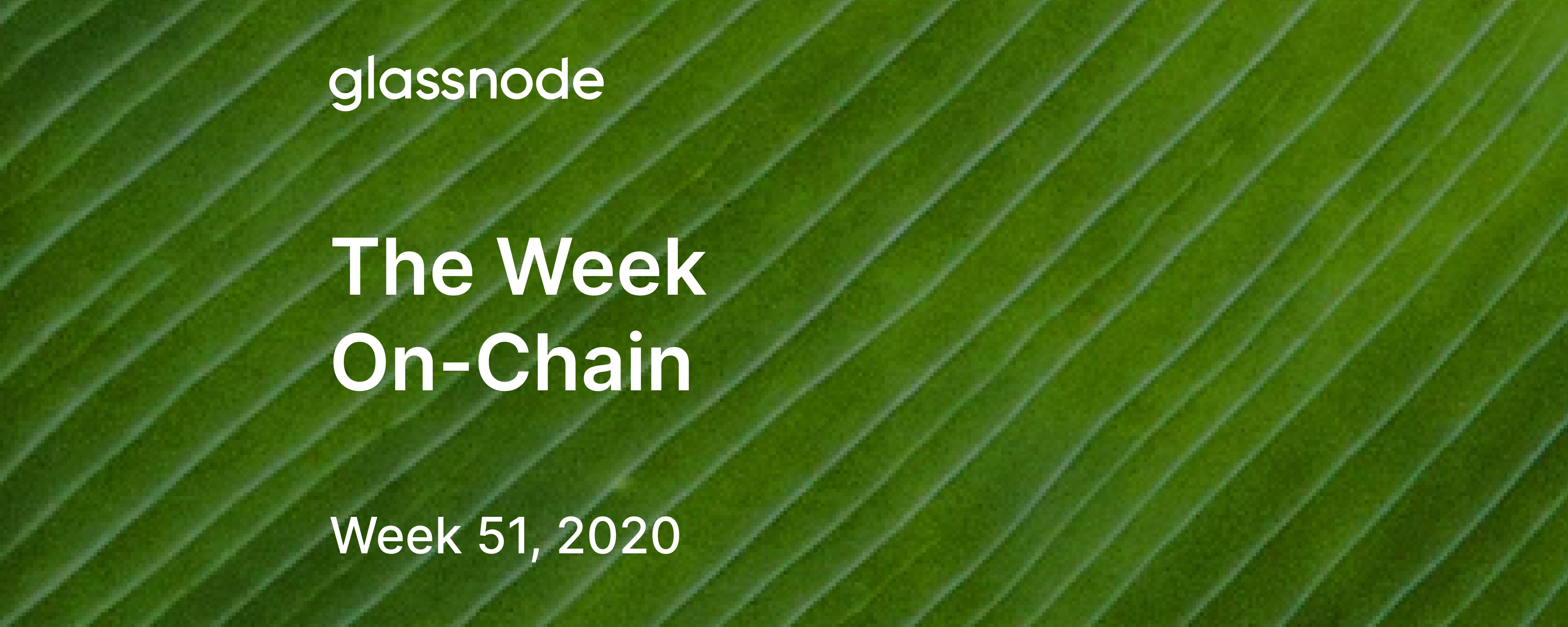 The Week On-Chain (Week 51, 2020)