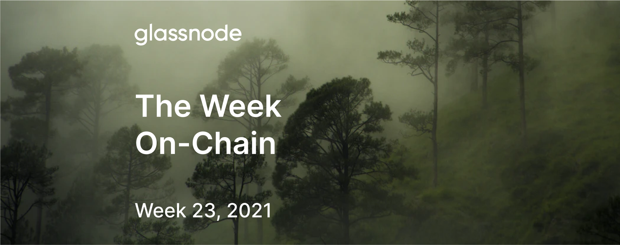 The Week On-chain (Week 23, 2021)