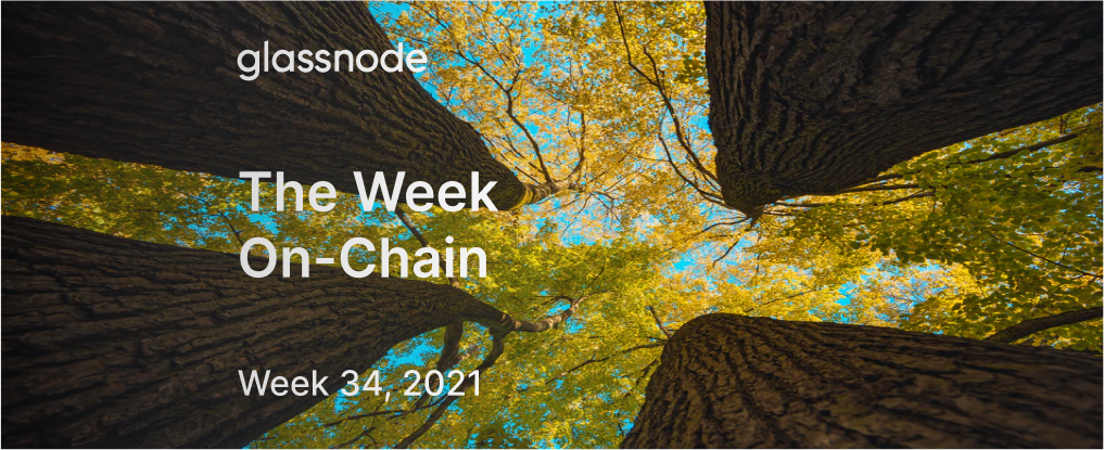The Week On-chain (Week 34, 2021)