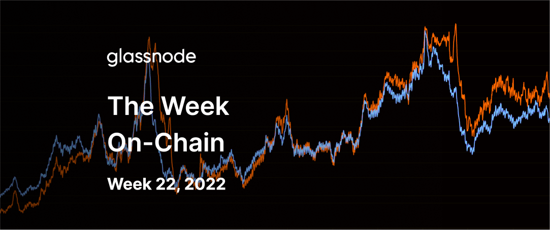 Hardened HODLers Double Down