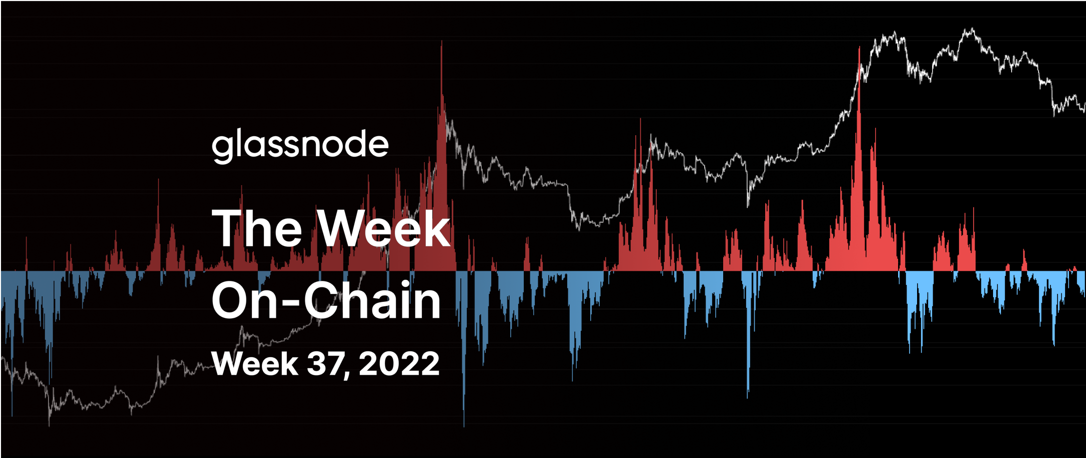 A Rally Off the Bear Market Lows