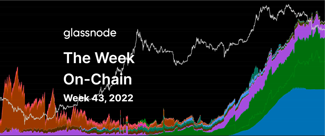 A Case for Bitcoin Bulls and Bears