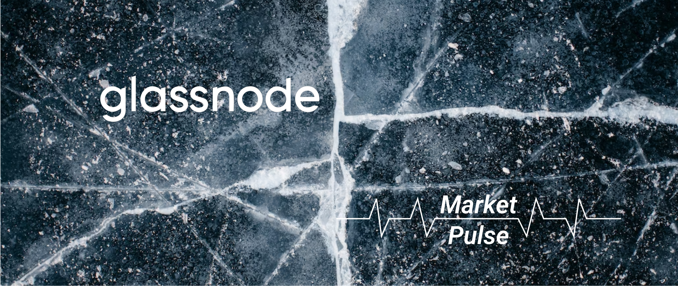Market Pulse: Vapour-liquid Equilibrium and Bitcoin Cycles