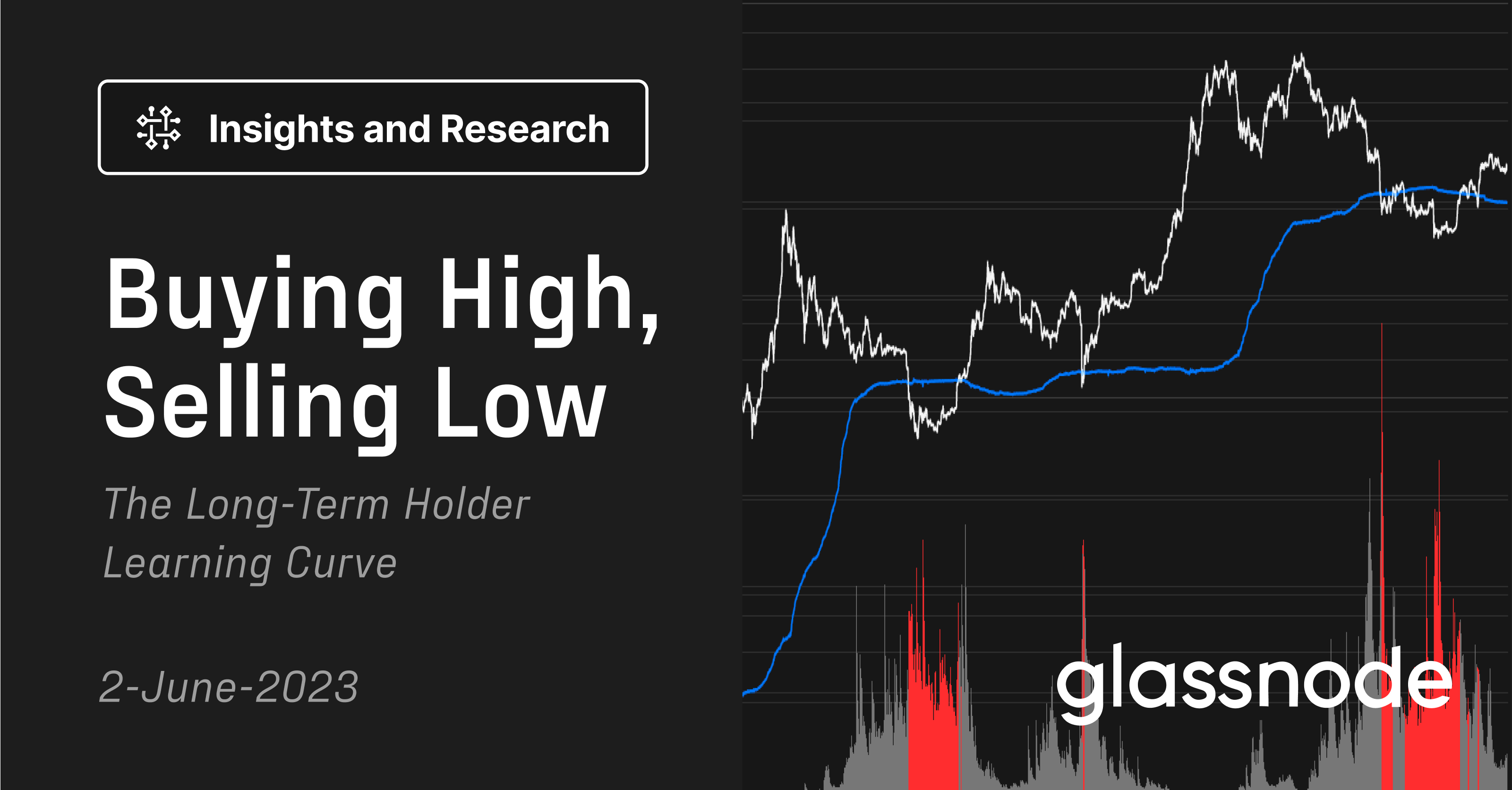 Buying High and Selling Low: The Long-Term Holder Learning Curve