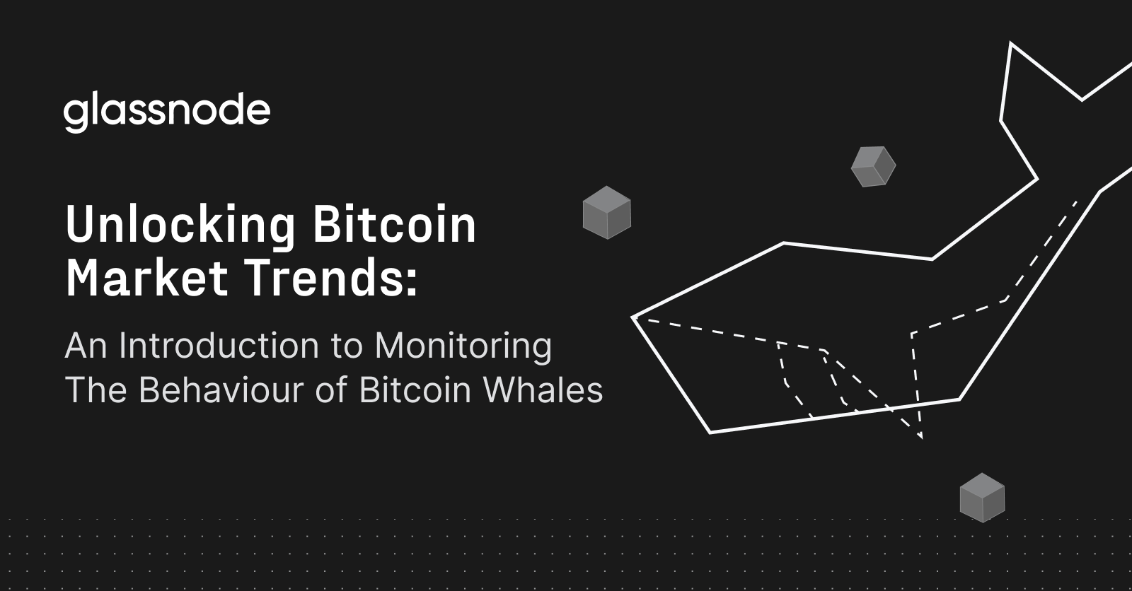 An Introduction to Monitoring The Behaviour of Bitcoin Whales