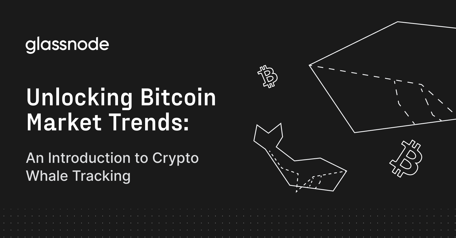 Unlocking Bitcoin Market Trends: An Introduction to Crypto Whale Tracking