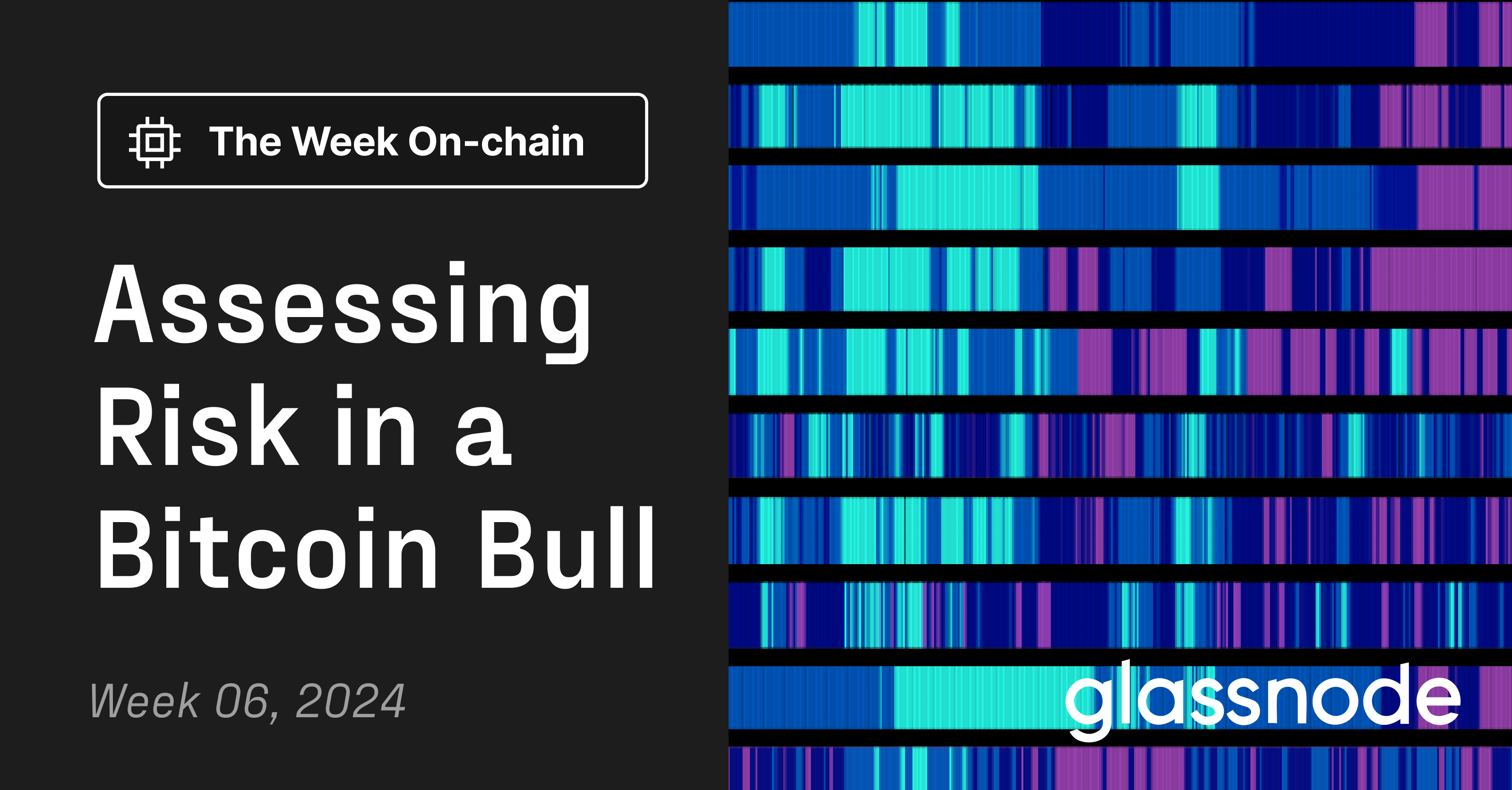 Assessing Risk in a Bitcoin Bull