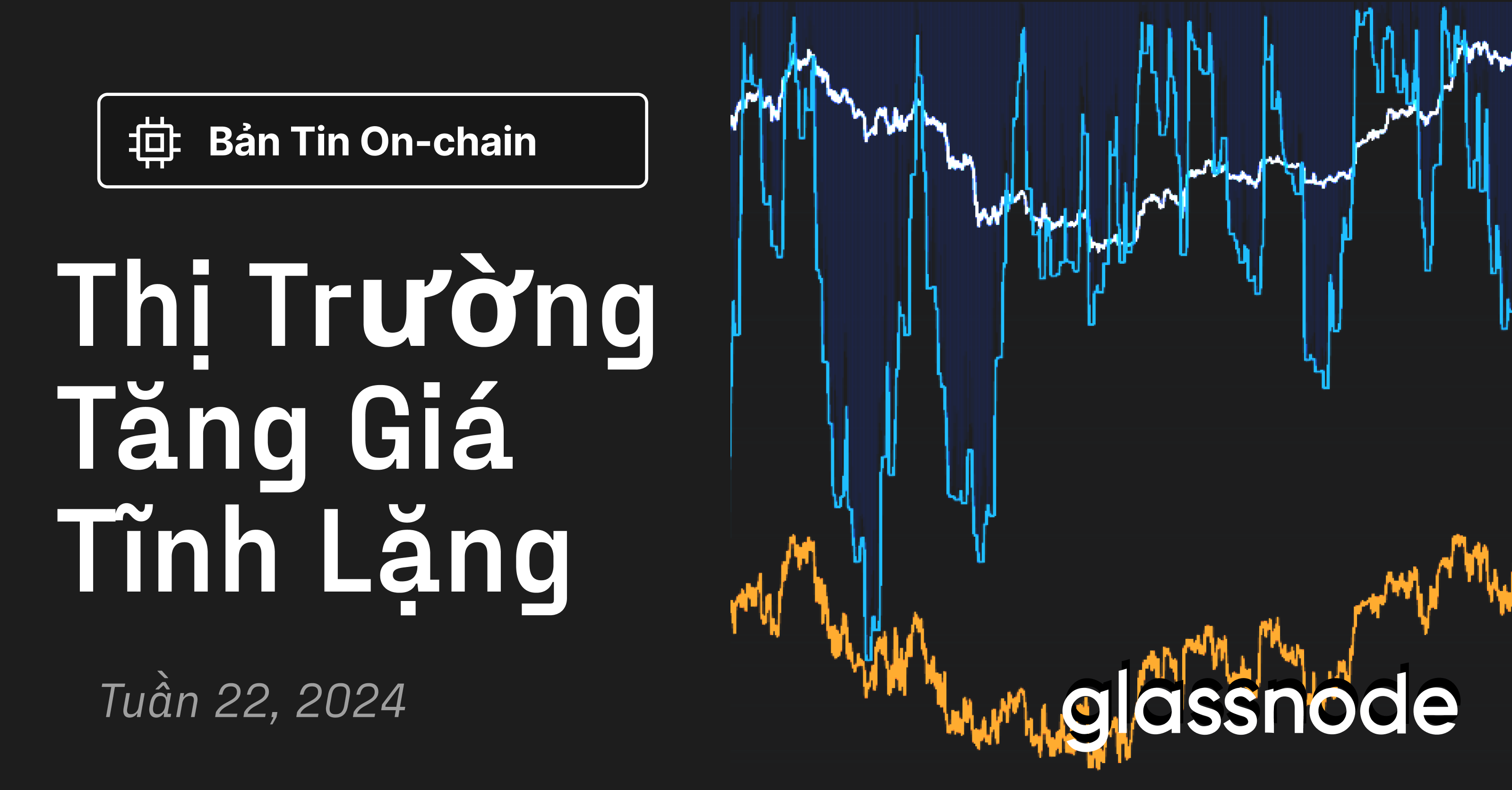 Thị Trường Tăng Giá Tĩnh Lặng