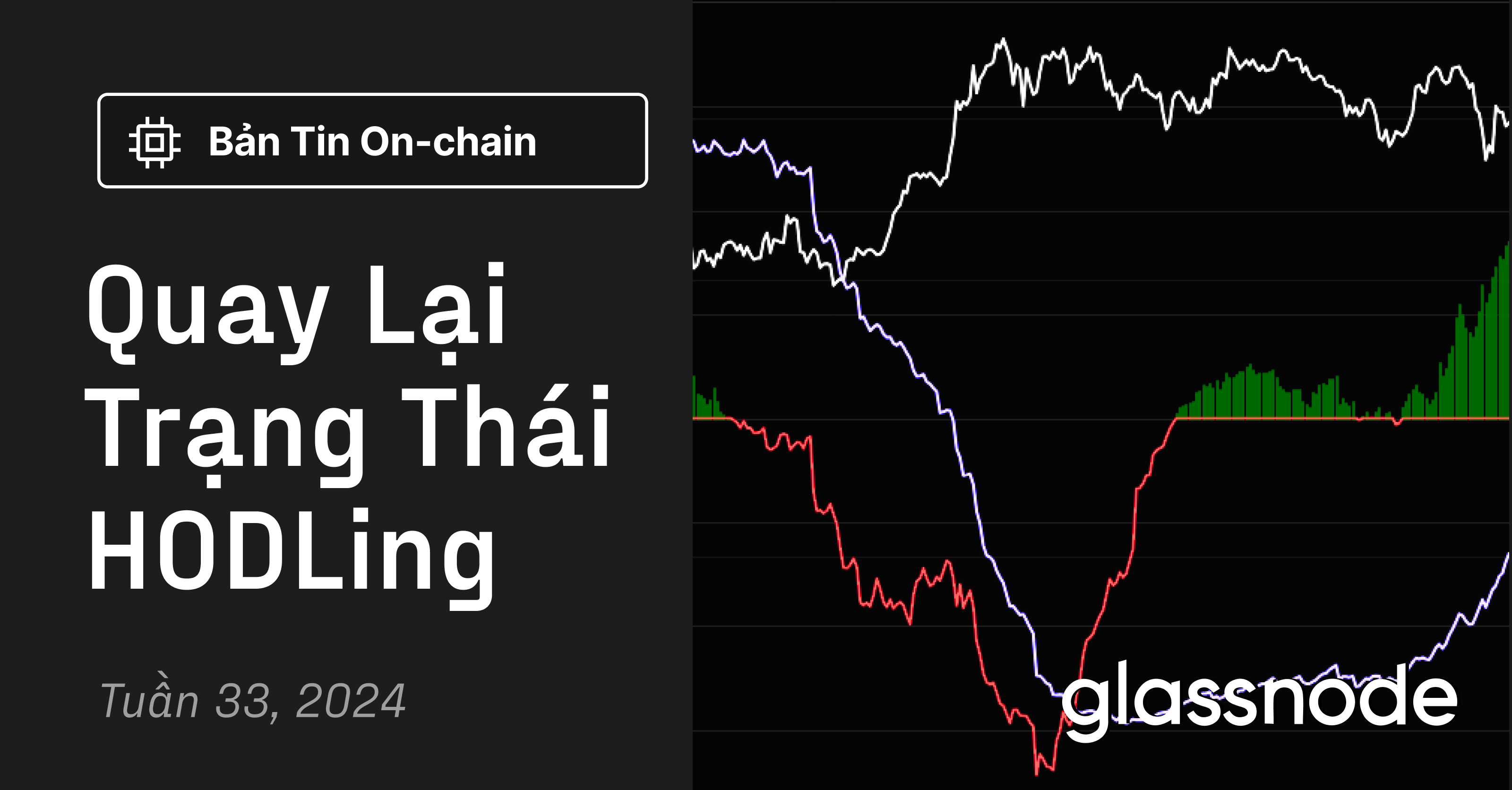 Quay Lại Trạng Thái HODLing