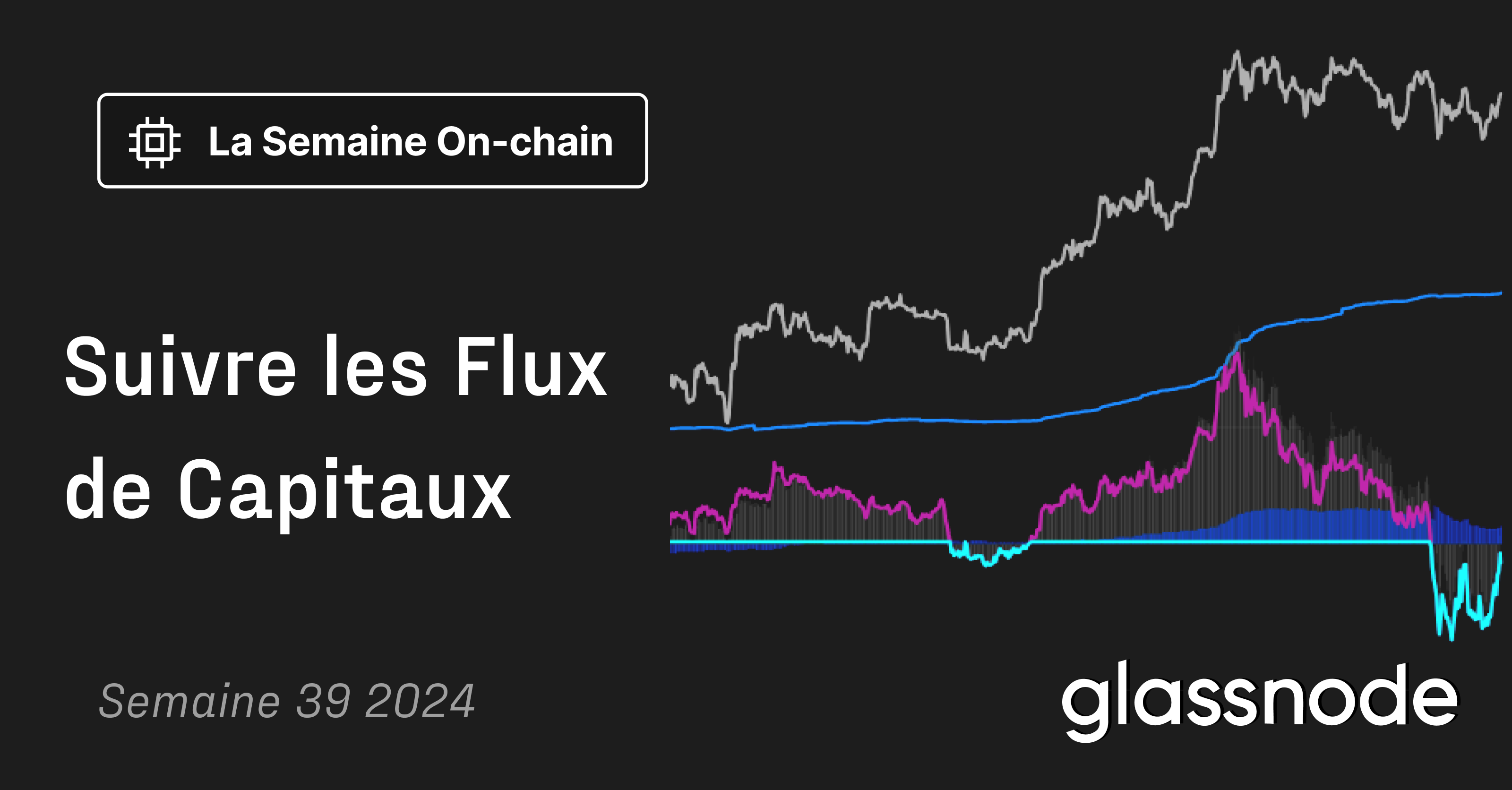 Suivre les Flux de Capitaux