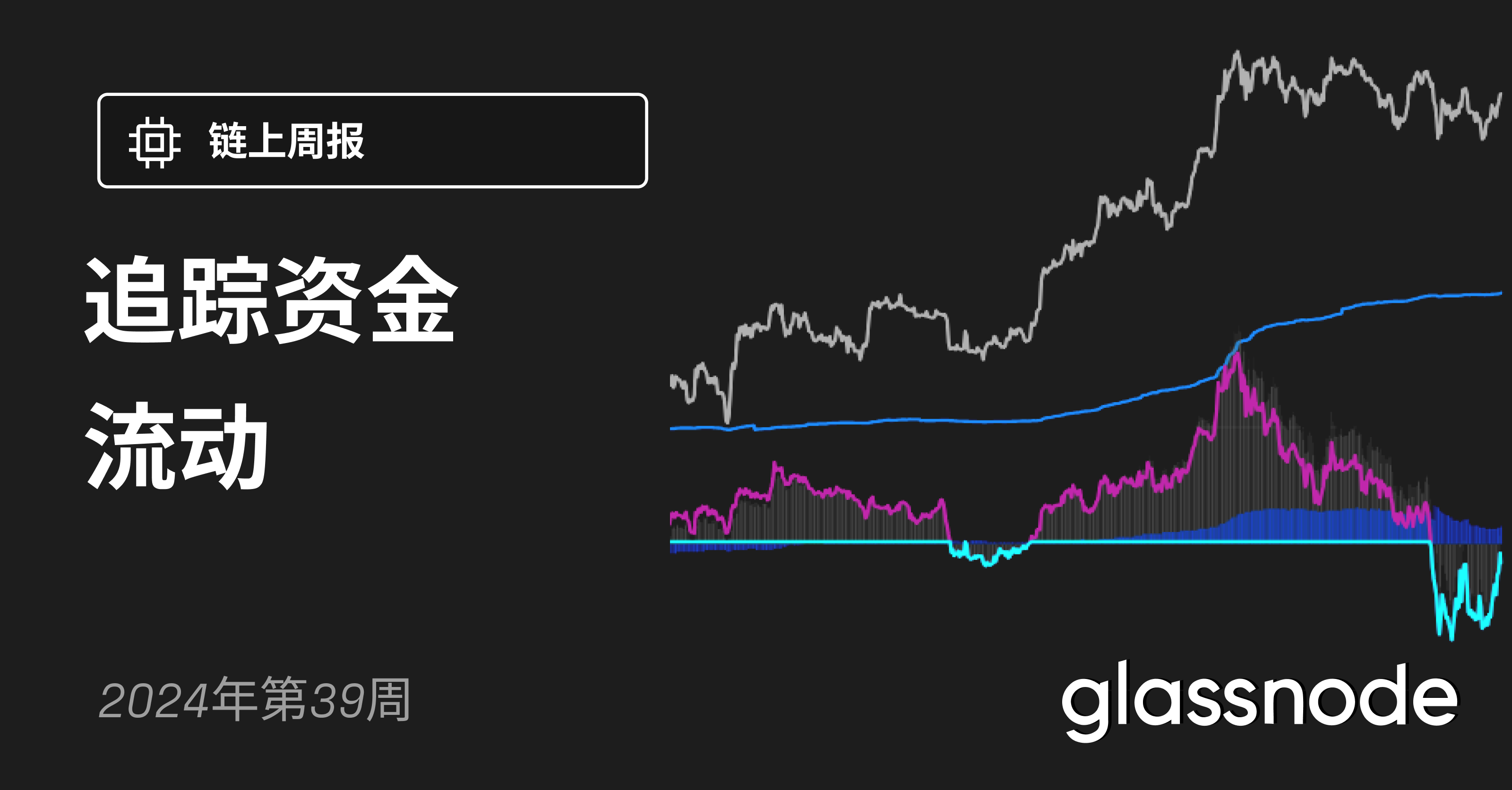 追踪资金流动