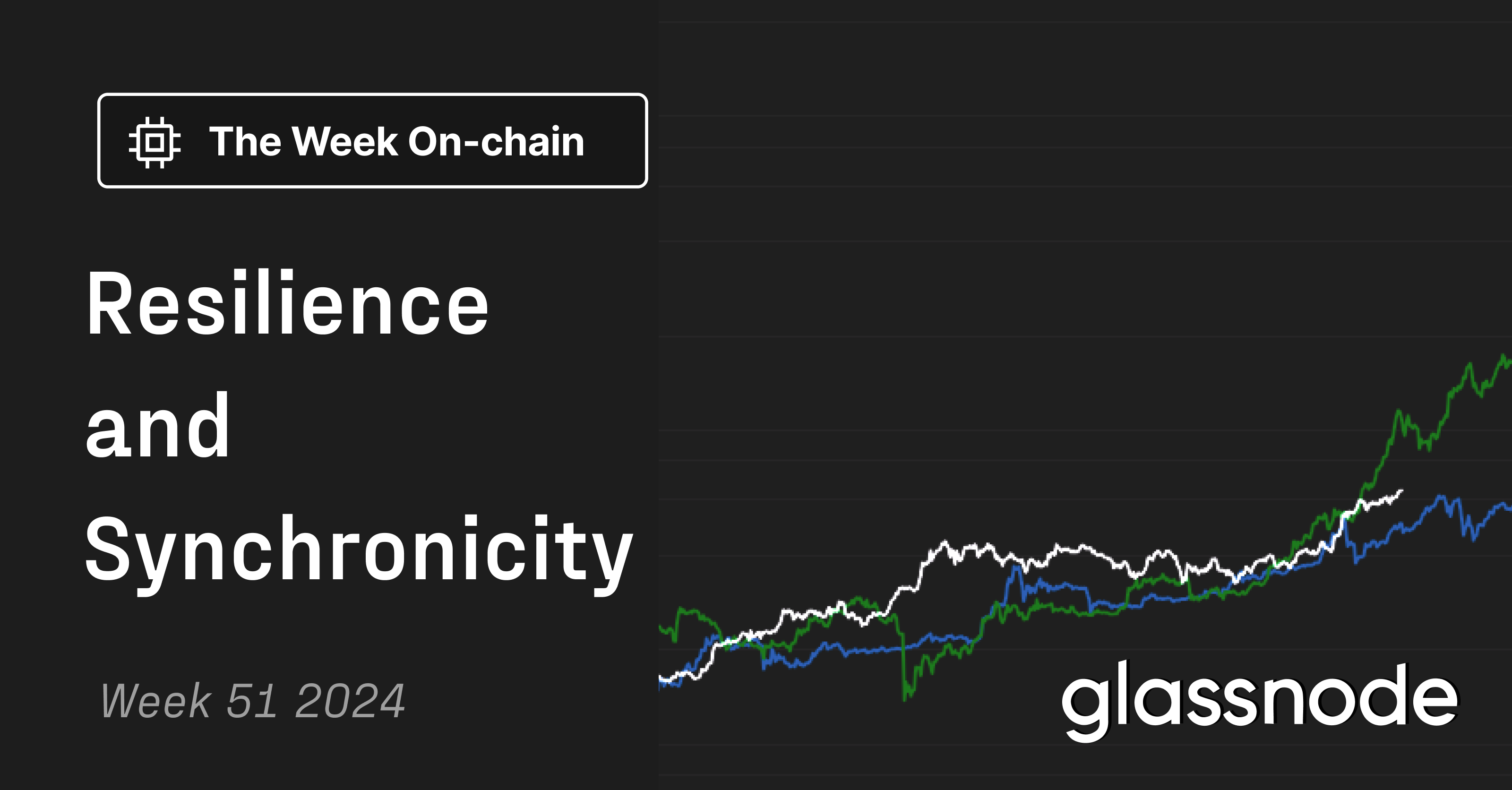 Resilience and Synchronicity