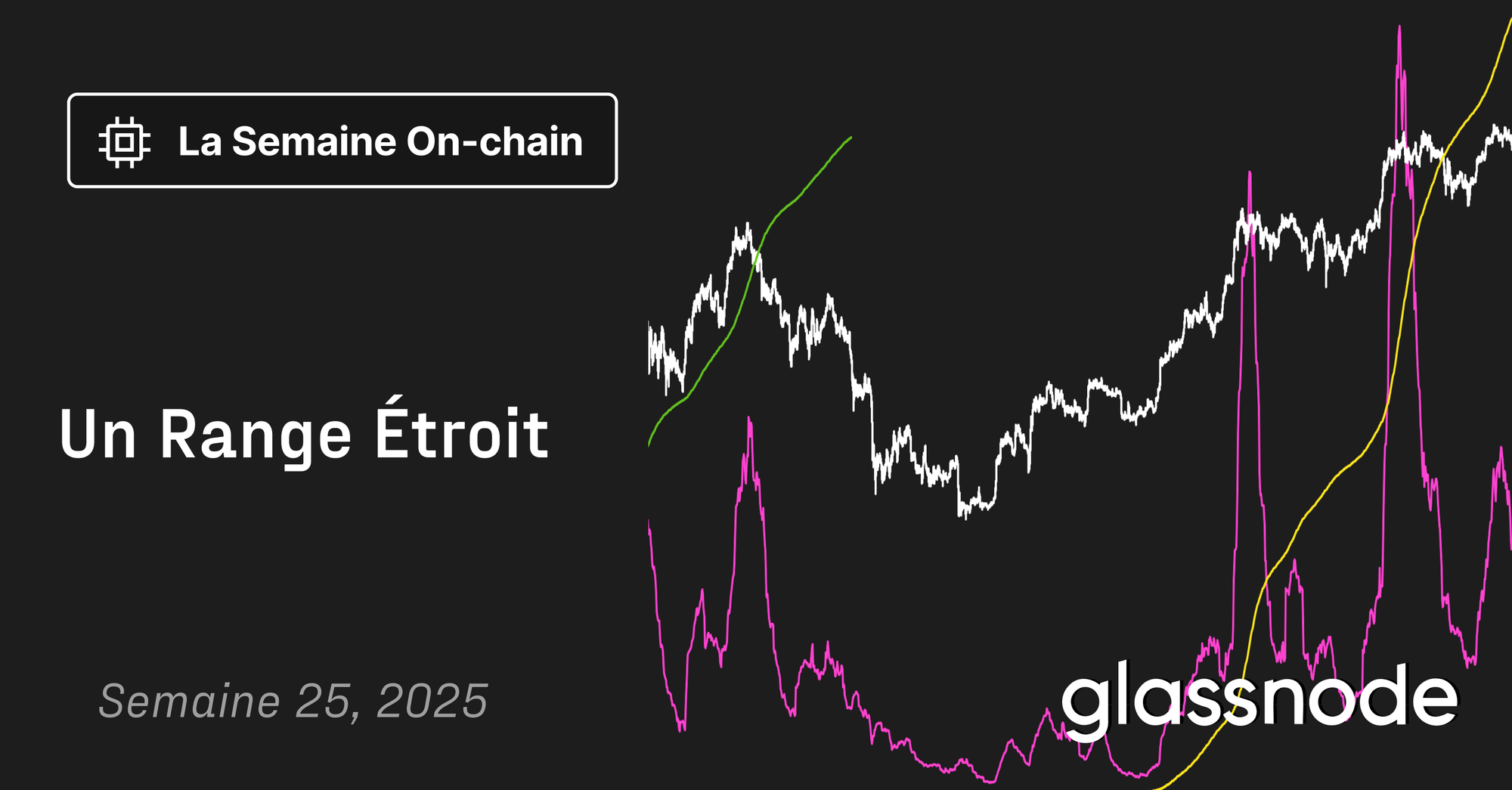 Un Range Étroit