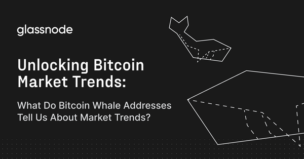 What Do Bitcoin Whale Addresses Tell Us About Market Trends?