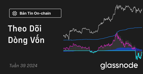 Theo Dõi Dòng Vốn