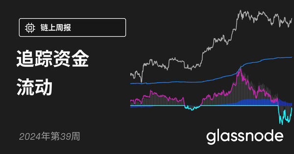 追踪资金流动