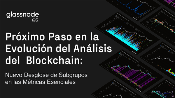 Próximo Paso en la Evolución del Análisis del Blockchain: Nuevo Desglose por Subgrupos en las Métricas Esenciales de la Cadena