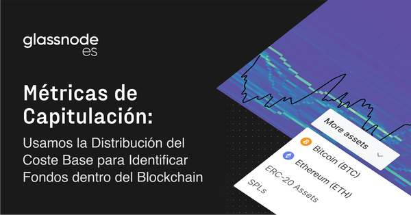 Métricas de Capitulación: Usamos la Distribución del Coste Base para Identificar Suelos Dentro del Blockchain