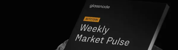 BTC Market Pulse: Week 45